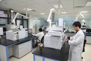 科技引領(lǐng)，服務(wù)賦能 以創(chuàng)新技術(shù)打響“上海制造”品牌，驅(qū)動(dòng)集團(tuán)高質(zhì)量發(fā)展